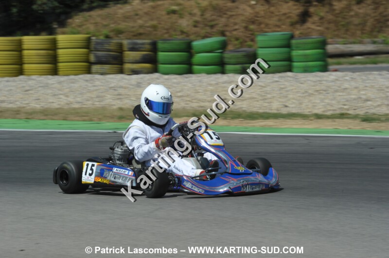 DSC_ (1861).JPG